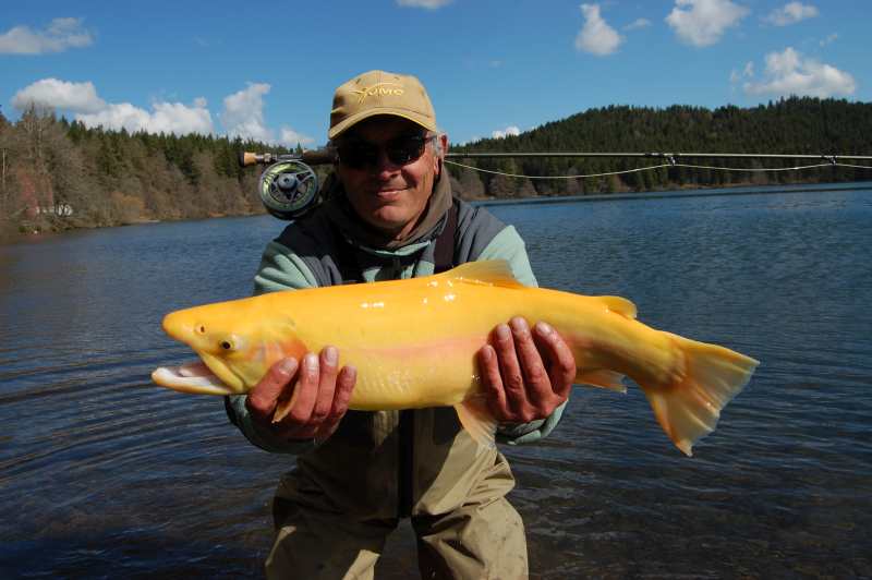 Federation de Peche 43